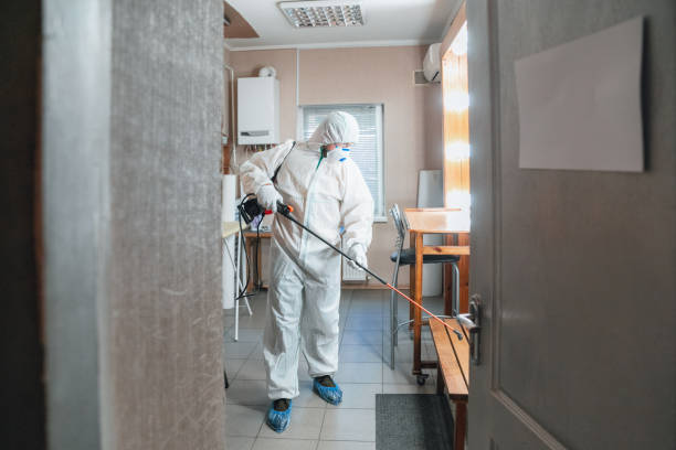 Best Water Damage & Mold Remediation  in Brookside Village, TX
