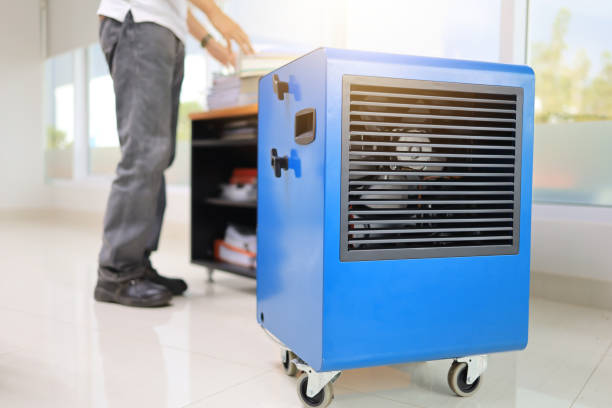 Best Air Quality Testing for Mold Spores  in Brookside Village, TX